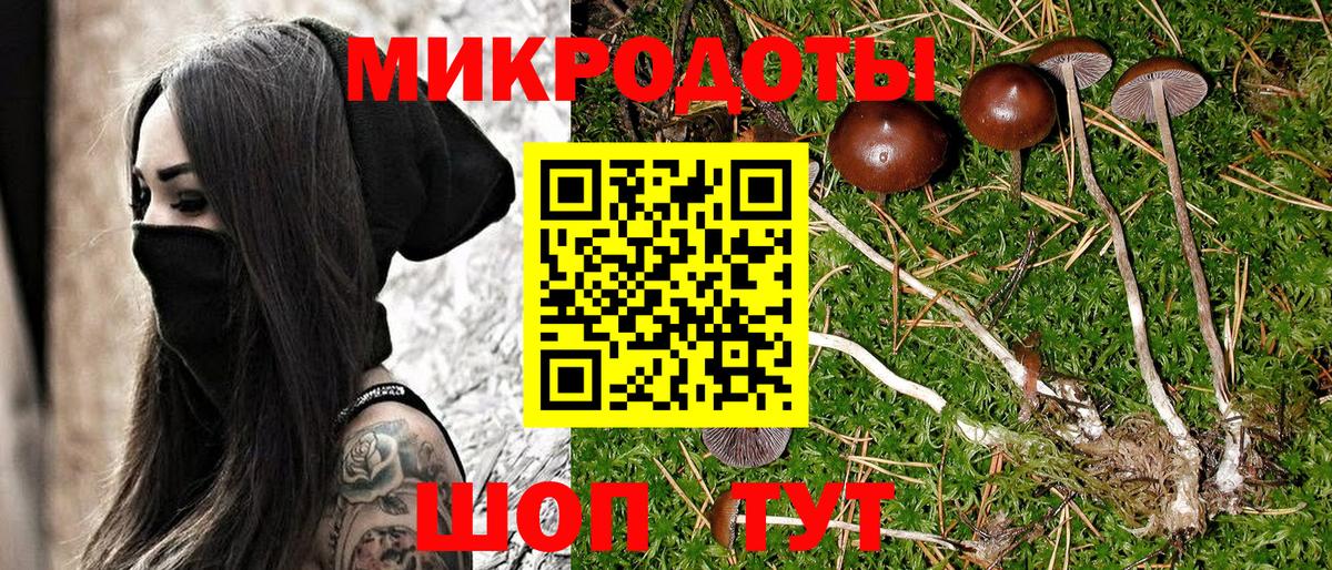 Лиски  Галлюциногенные грибы Psilocybine cubensis  Вход с VPN  Галлюциногенные грибы Cubensis 